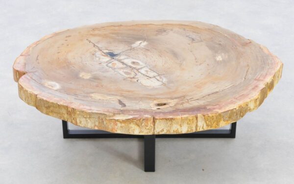 Coffee table petrified wood 42244