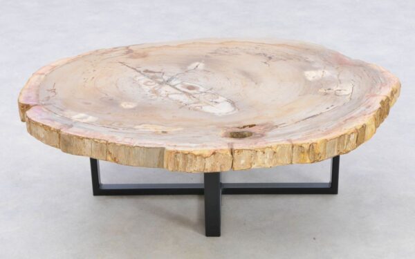 Coffee table petrified wood 42245