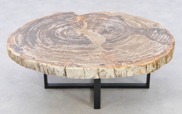 Coffee table petrified wood 42255