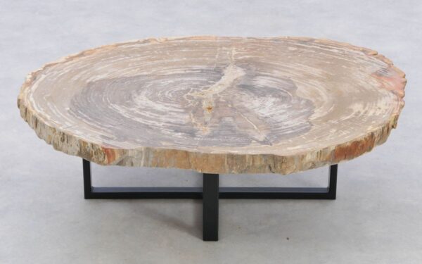 Coffee table petrified wood 42257