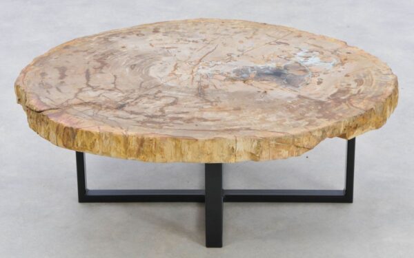 Coffee table petrified wood 42258
