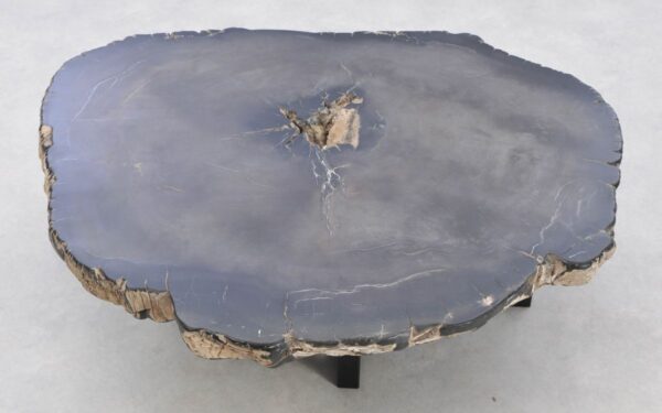 Coffee table petrified wood 42264