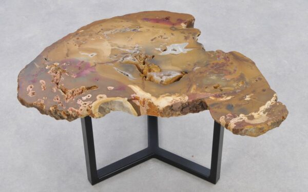 Coffee table petrified wood 42272
