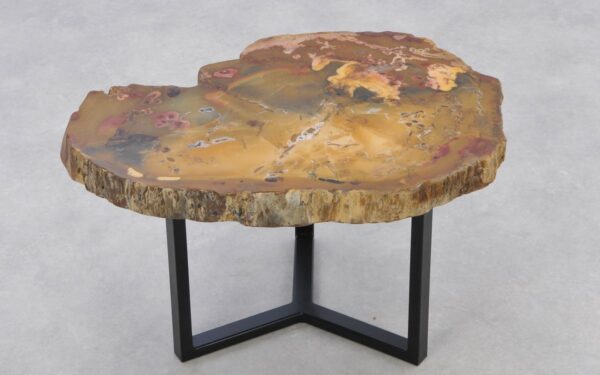 Coffee table petrified wood 42276