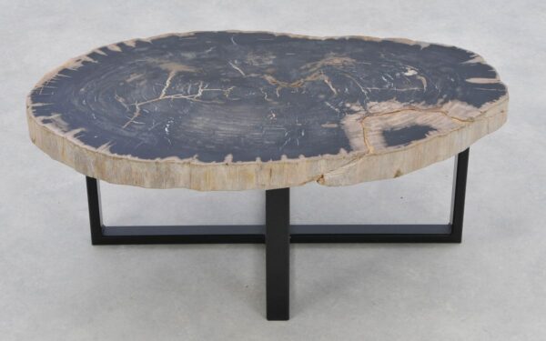 Coffee table petrified wood 42305