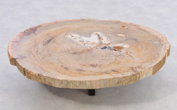 Coffee table petrified wood 42412