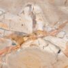 Couchtisch versteinertes Holz 42139
