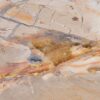 Couchtisch versteinertes Holz 42139