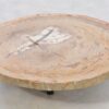 Couchtisch versteinertes Holz 42140