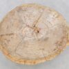 Couchtisch versteinertes Holz 42195
