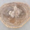 Couchtisch versteinertes Holz 42206