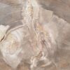Couchtisch versteinertes Holz 42206