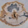 Couchtisch versteinertes Holz 42232