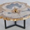 Couchtisch versteinertes Holz 42232