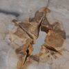 Couchtisch versteinertes Holz 42232