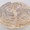Couchtisch versteinertes Holz 42255