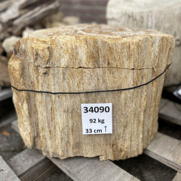 Grabstein versteinertes Holz 34090