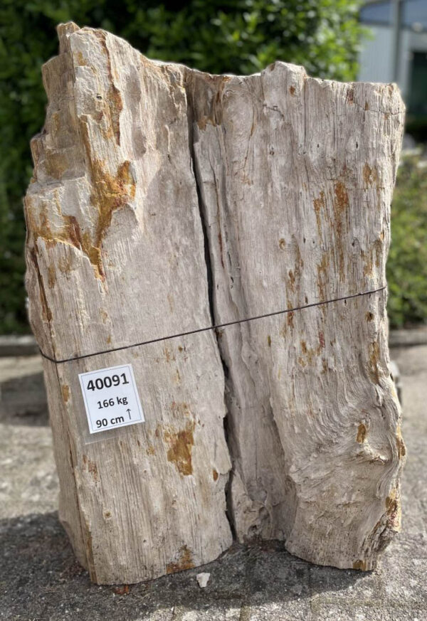 Grabstein versteinertes Holz 40091