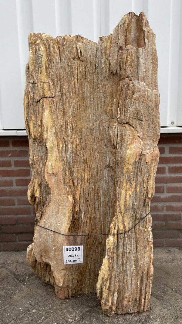 Grabstein versteinertes Holz 40098