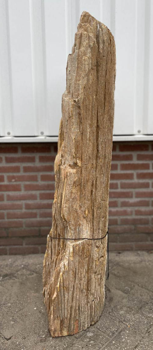 Grabstein versteinertes Holz 40098