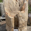 Grabstein versteinertes Holz 40115