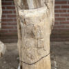 Grabstein versteinertes Holz 40186