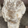 Grabstein versteinertes Holz 40186