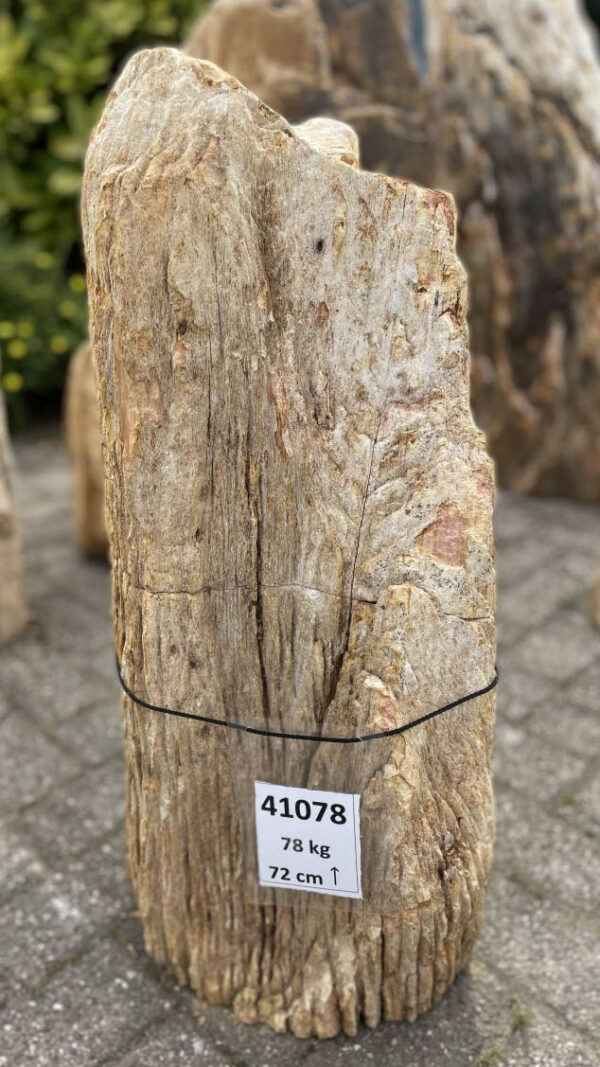Grabstein versteinertes Holz 41078