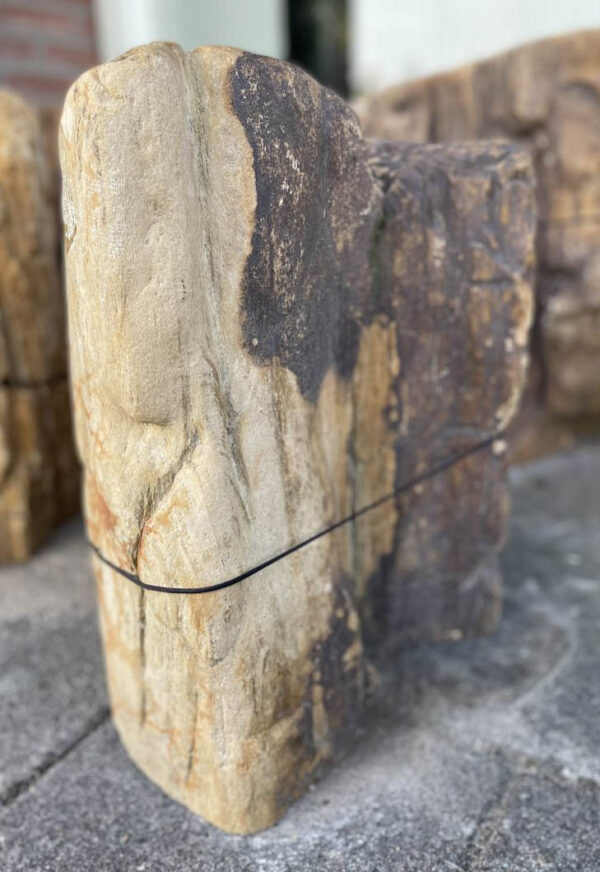 Grafsteen versteend hout 34051
