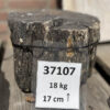 Grafsteen versteend hout 37107