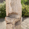 Grafsteen versteend hout 39033