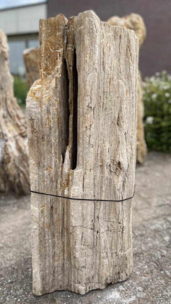 Grafsteen versteend hout 39035