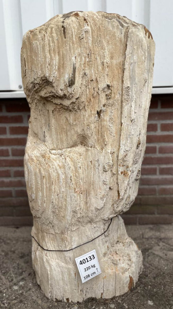 Grafsteen versteend hout 40133