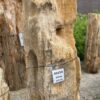 Grafsteen versteend hout 40150