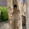 Grafsteen versteend hout 40150