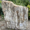 Grafsteen versteend hout 40168