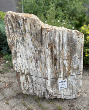 Grafsteen versteend hout 40168