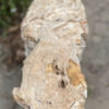 Grafsteen versteend hout 40168