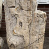 Grafsteen versteend hout 40186