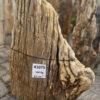 Grafsteen versteend hout 41075