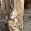 Grafsteen versteend hout 41075
