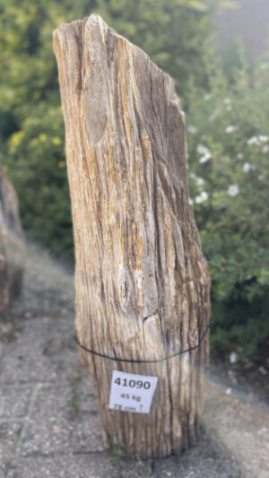 Grafsteen versteend hout 41090