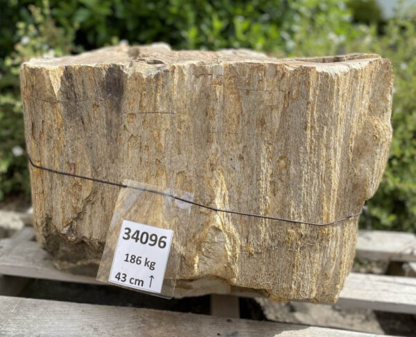 Lápida madera petrificada 34096