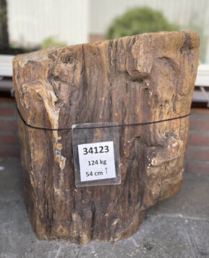 Lápida madera petrificada 34123