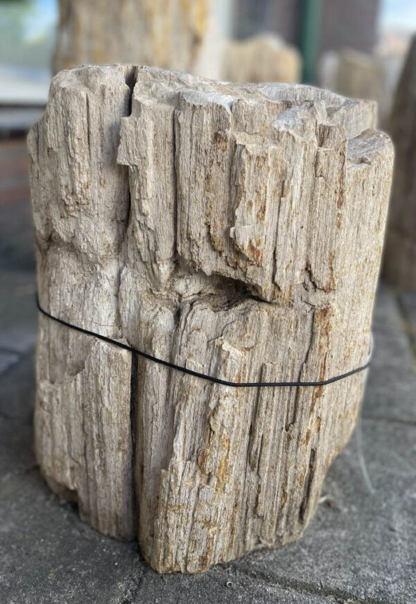 Lápida madera petrificada 35089