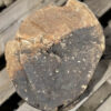 Lápida madera petrificada 37101