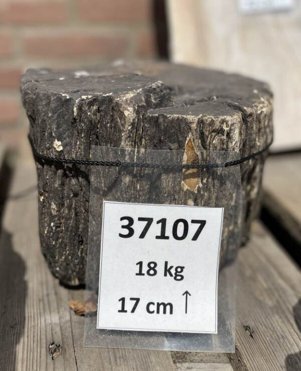 Lápida madera petrificada 37107