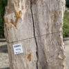 Lápida madera petrificada 40091