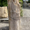 Lápida madera petrificada 40091