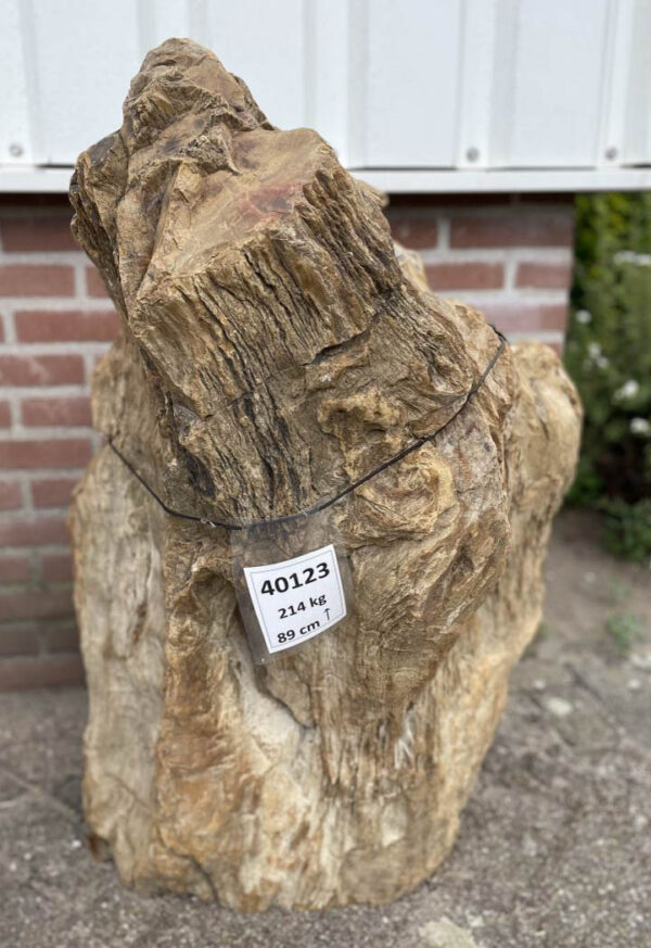 Lápida madera petrificada 40123